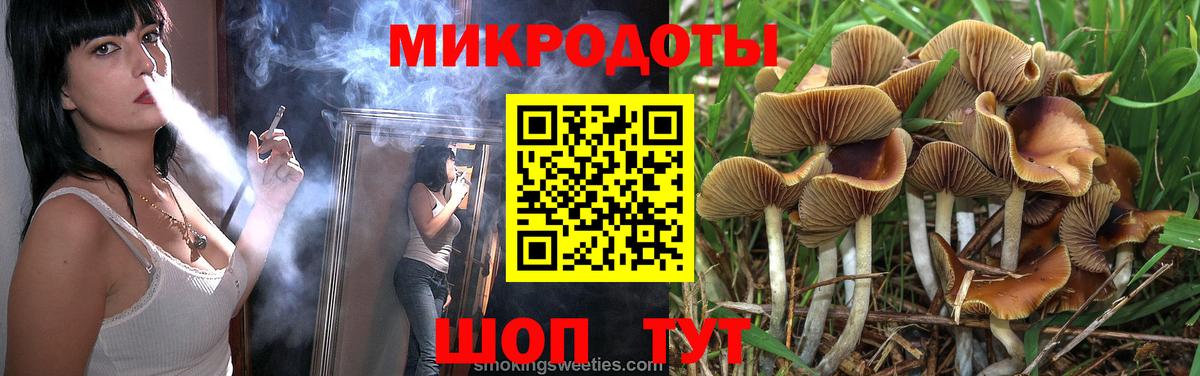 Псилоцибиновые грибы мухоморы Ахтубинск