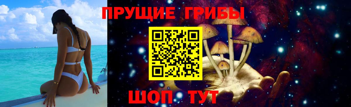 Галлюциногенные грибы Psilocybine cubensis  Вход с VPN  Галлюциногенные грибы мухоморы  Ахтубинск 